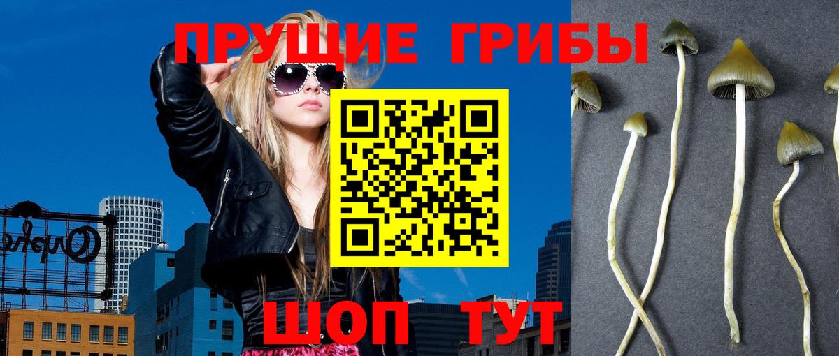 Псилоцибиновые грибы мухоморы Лосино-Петровский